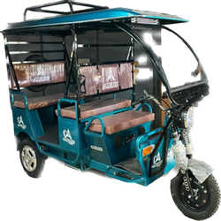 E rickshaw passenger