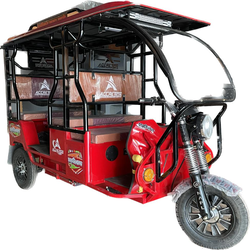 e rickshaw passenger