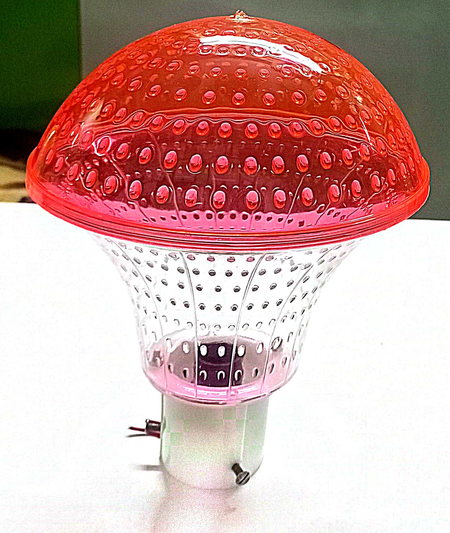 Infant - Colour - Orange