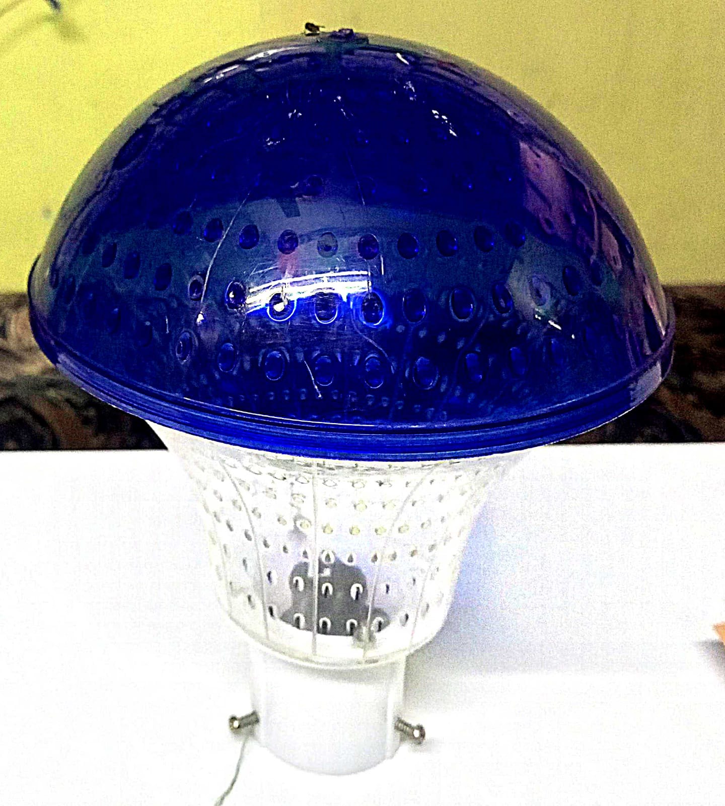 Infant - Colour - Blue