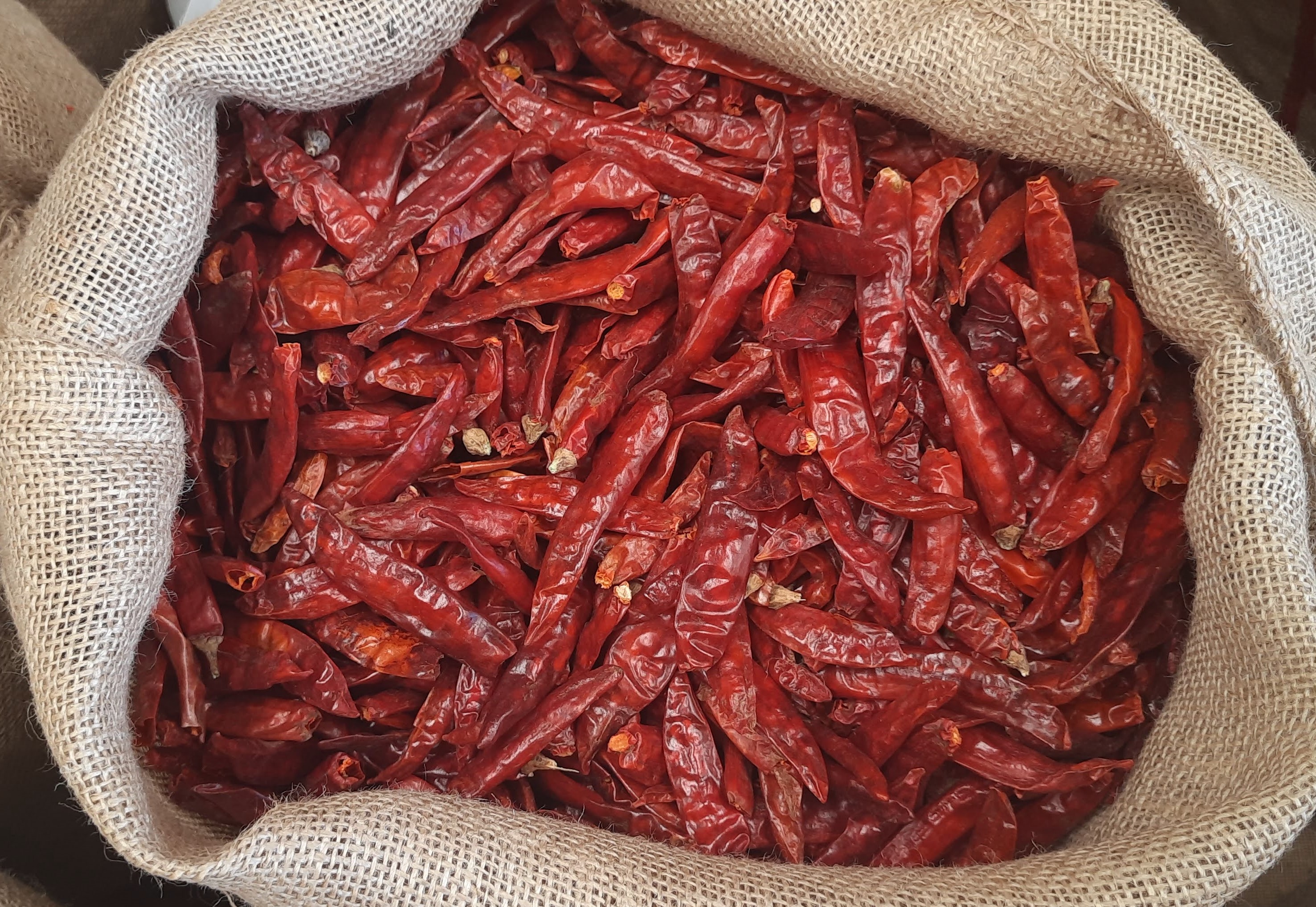 Guntur Super-10 Stemless Dry Chilli 