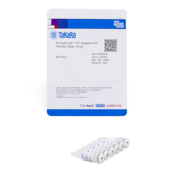RR037A; Takara PrimeScript™ RT Reagent Kit (Perfect Real Time)