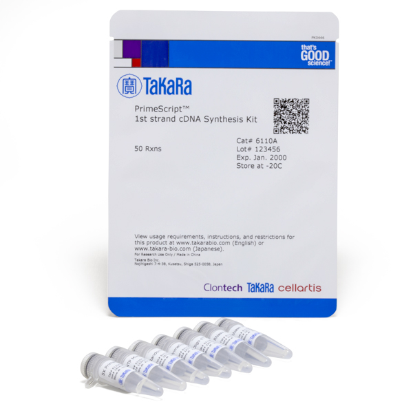 6110A; Takara PrimeScript™ 1st strand cDNA Synthesis Kit