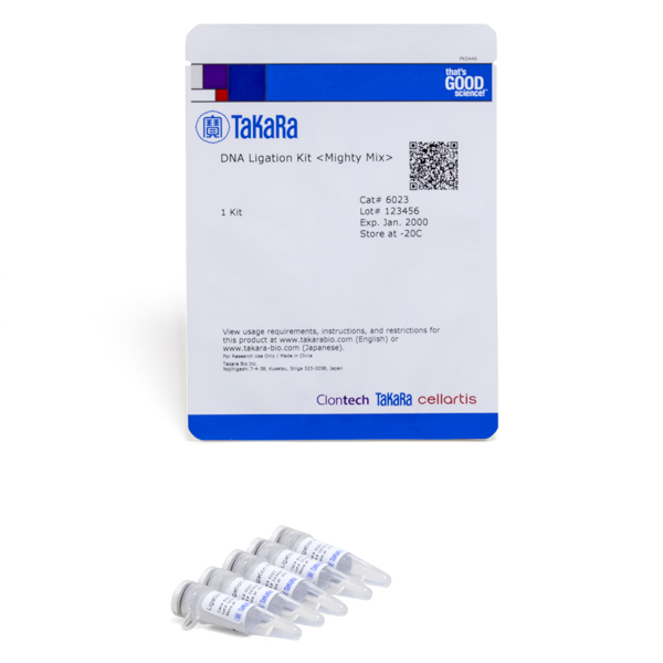 6023; Takara DNA Ligation Kit, Mighty Mix
