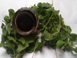 KASTURI SUGANDHAM - A TRADITIONAL AROMATIC SECRET FROM LAND OF SANATANA DHARMA REALISE THE COSMIC ENERGY AND CLEAN THE CHAKRAS