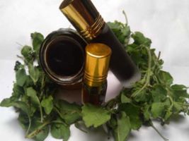 HIMALAYAN WONDER KASTURI 354 -  A DIVINE AROMATIC SECRET FOR YOGA, MEDITATION AND DAILY POOJA 