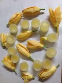 CHAMPACA SOLID CREAM –  MADE WITH  FLORAL EXTRACTS FOR POOJA, YOGA, MEDITATION  TO REALIZE CONSCIOUSNESS IN VEDIC LIFE