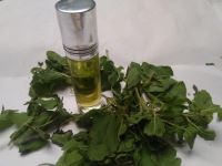 SIDDHA HERBAL TULSI OIL - A NATUAL SIDDHA PRODUCT FOR ALL TYPES OF BODY AILMENTS  (PAIN, COUGH, COLD)