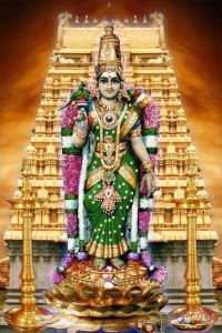 KADAMBAVASINI THAZHAMPOO KUNGUMAM - NATURAL DIVINE KUNGUMUM (KUMKUM) MADE WITH NATURAL INGREDIENTS AS PER VEDIC AGAMAS FOR POOJA AND TEMPLE RITUALS