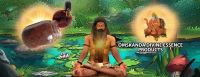 12  NATURAL AROMATIC OIL (ESSENTIAL OILS) AND MEDITATION- DIVINE AROMA OILS MADE FOR SIDDHA SAMADHI WAY OF LIFE TO REALISE WHO AM I 