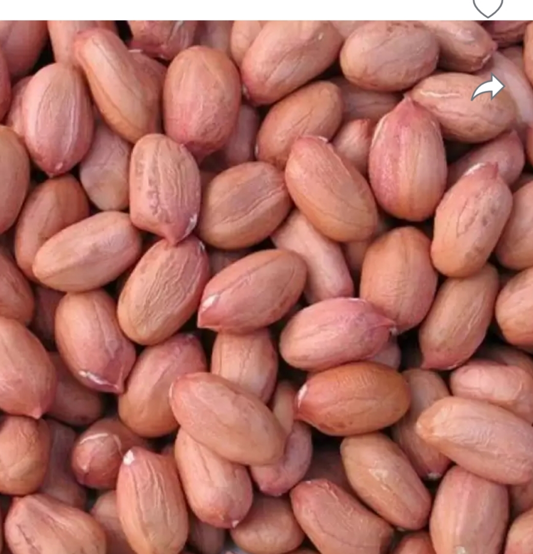 Raw Peanut