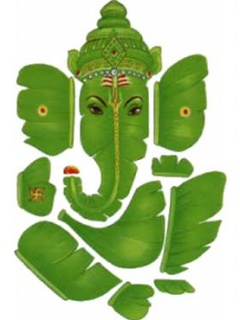 Chemicals & Bulk drugs