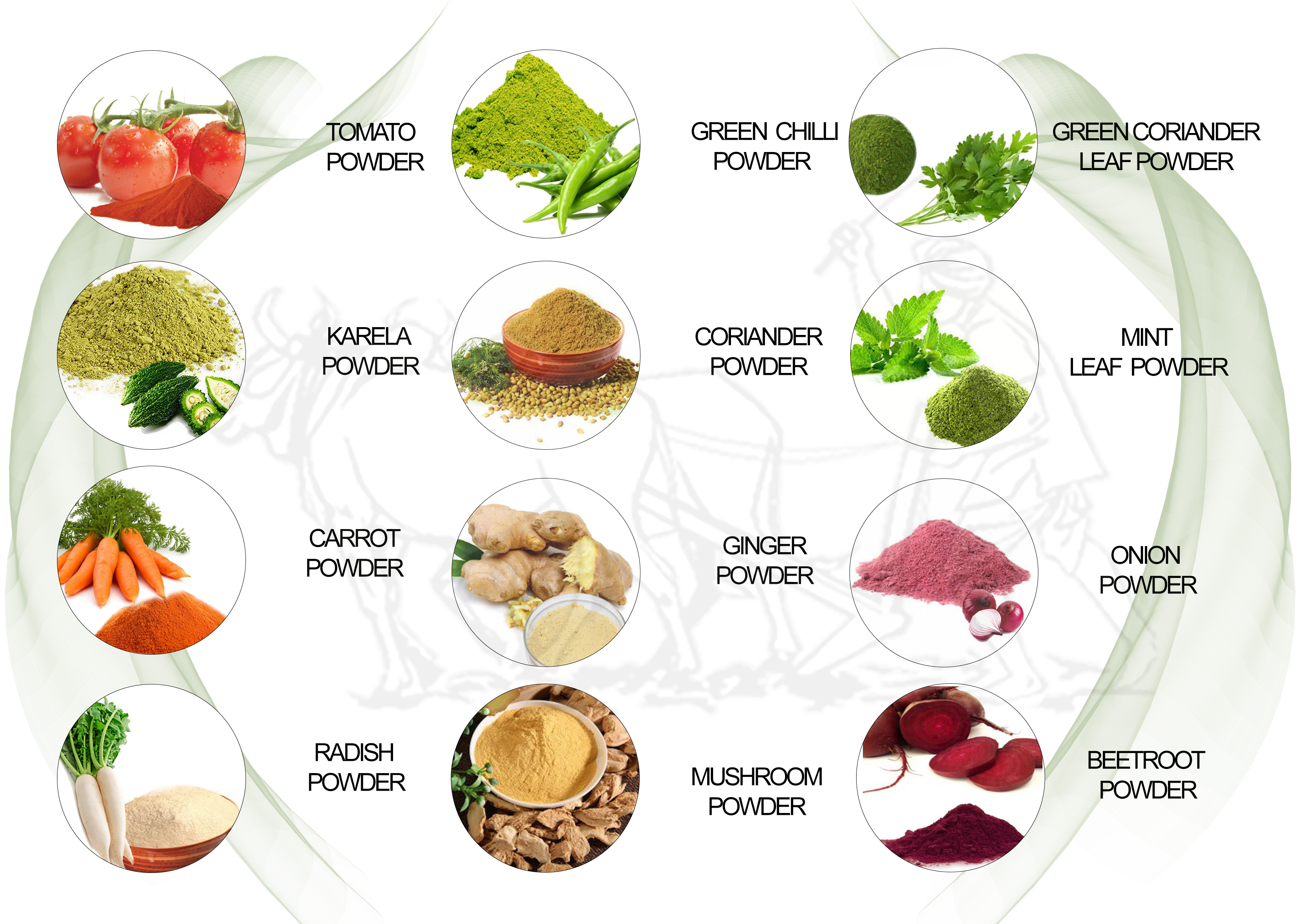 Garlic powder manufacturers 