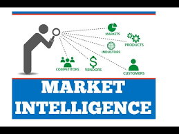 Business Intelligence Studies