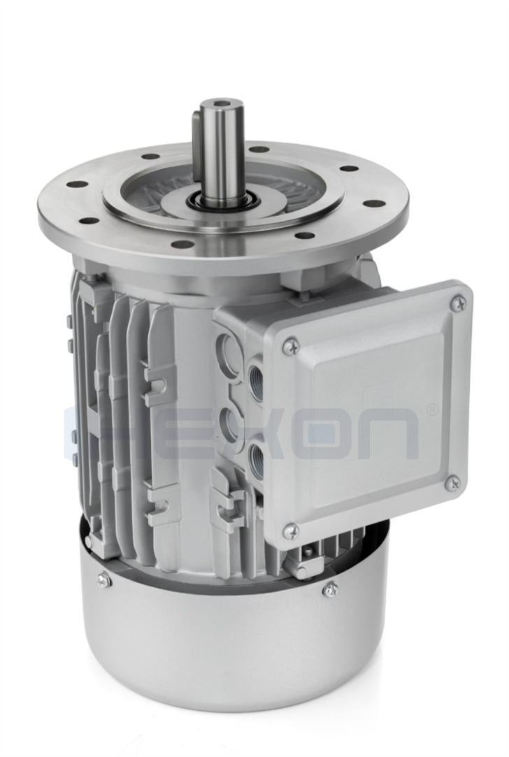 2 HP TP GEAR MOTOR ALLU.BODY