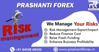 Foreign Exchange Risk Management