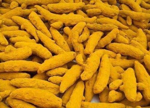 Dried Finger Turmeric 