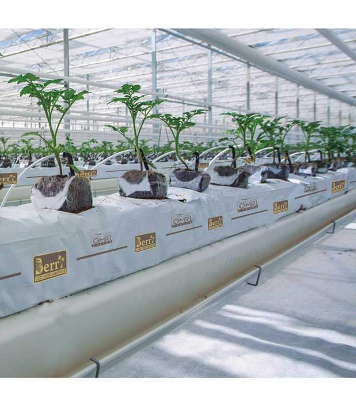 Coco Grow Bag 100*15*10Cm, 1.6Liter Washed