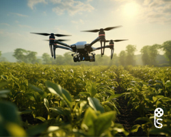 Drone Photography and Filming 