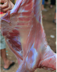 SHEEP MEAT