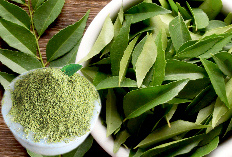 CURRY LEAVES POWDER