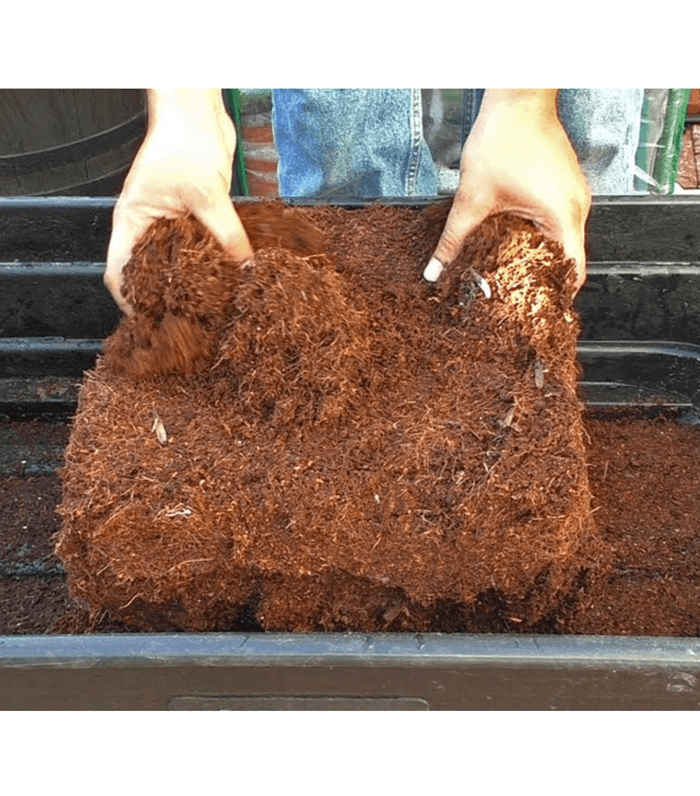 Coconut husk chips brick Size 20*10*4-5Cm/ 650Grams/ Washed