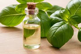 BASIL OIL