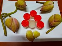 SCENT OF PINK LOTUS -A NATURAL AROMA FOR REALISING CONSCIOUSNESS IN DIVINE WAY OF LIFE THROUGH POOJA, YOGA, MEDITATION AND RITUAL