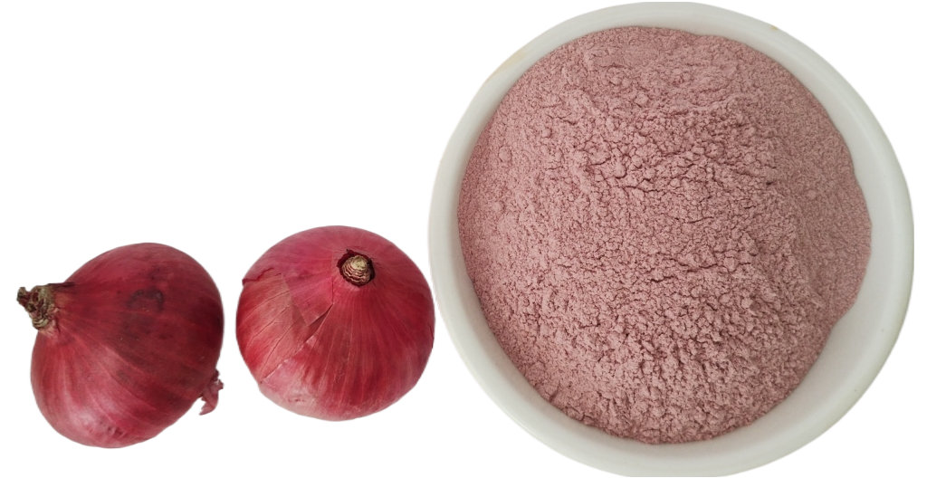 Dehydrated Red onion Powder
