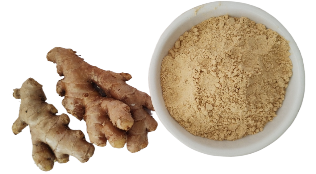 Dehydrated Ginger Powder