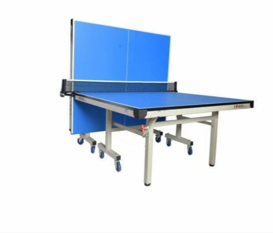 Table Tennis Table Power Play