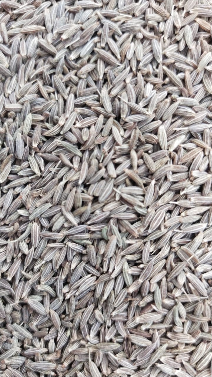 Cumin Seeds