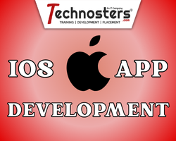 iBuild Pro – Custom iOS App Development Service