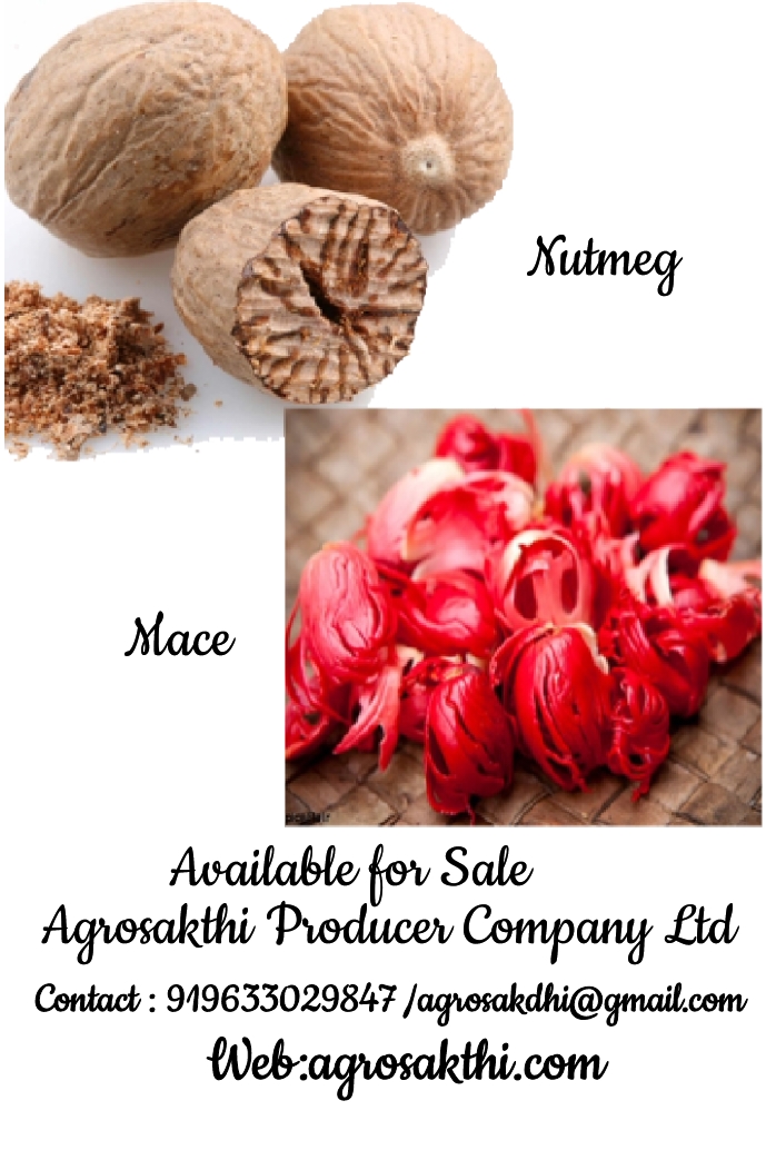 Nutmeg