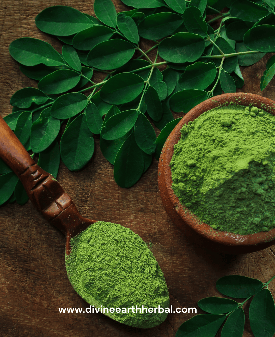 Moringa Powder