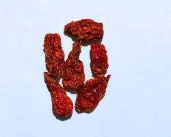 Dried Ghost pepper
