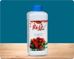 Powder Bottle