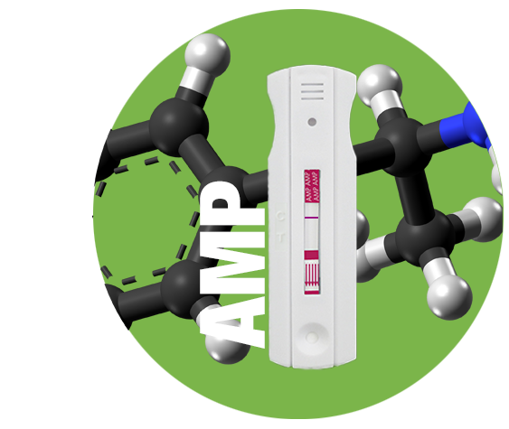 Rapid Drug Test