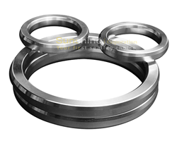 Ring Joint Gaskets (RTJ)