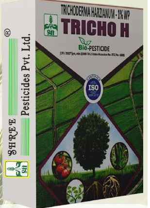 Trichoderma Harzianum
