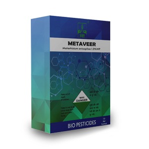 Metarihizium Anisoplae