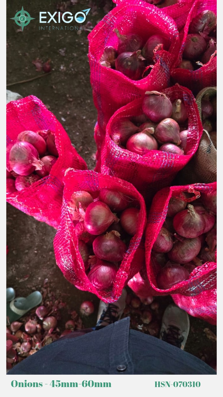 Fresh Indian Onions – Farm Direct, Export Quality