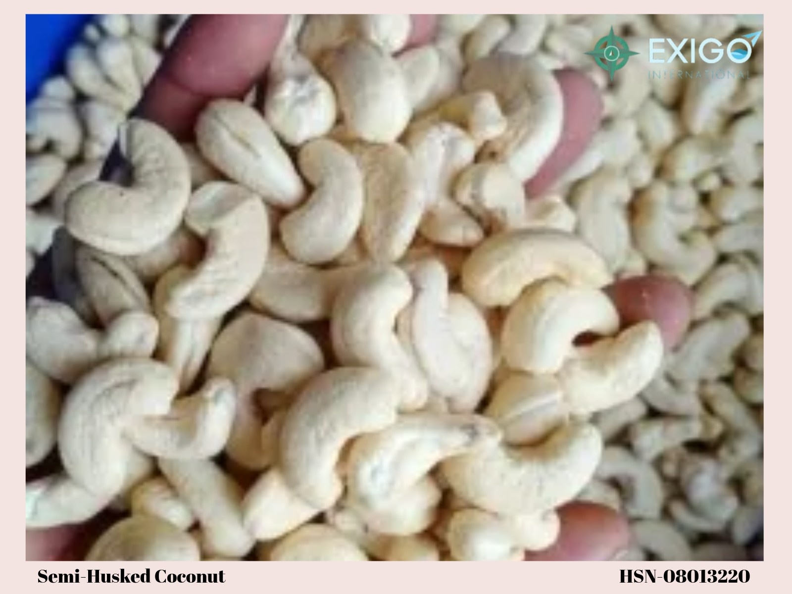 Premium Indian Cashew Nuts (W180, W210, W240, W320) – Export Quality