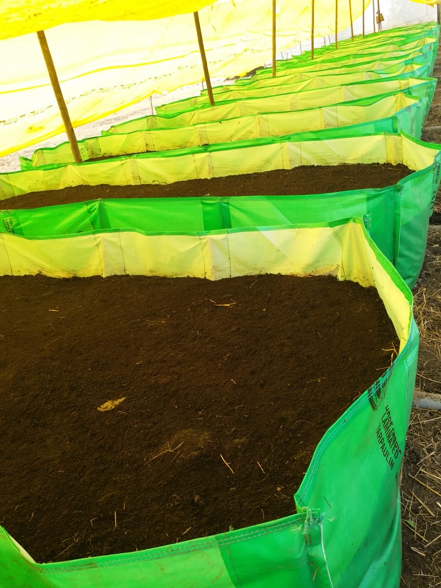 Premium Quality Vermicompost