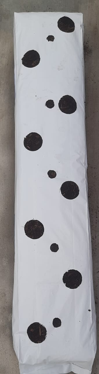 Coir Grow Bag – 100x20x15 cm – 3.3Kg – 30L – washed- Bulk