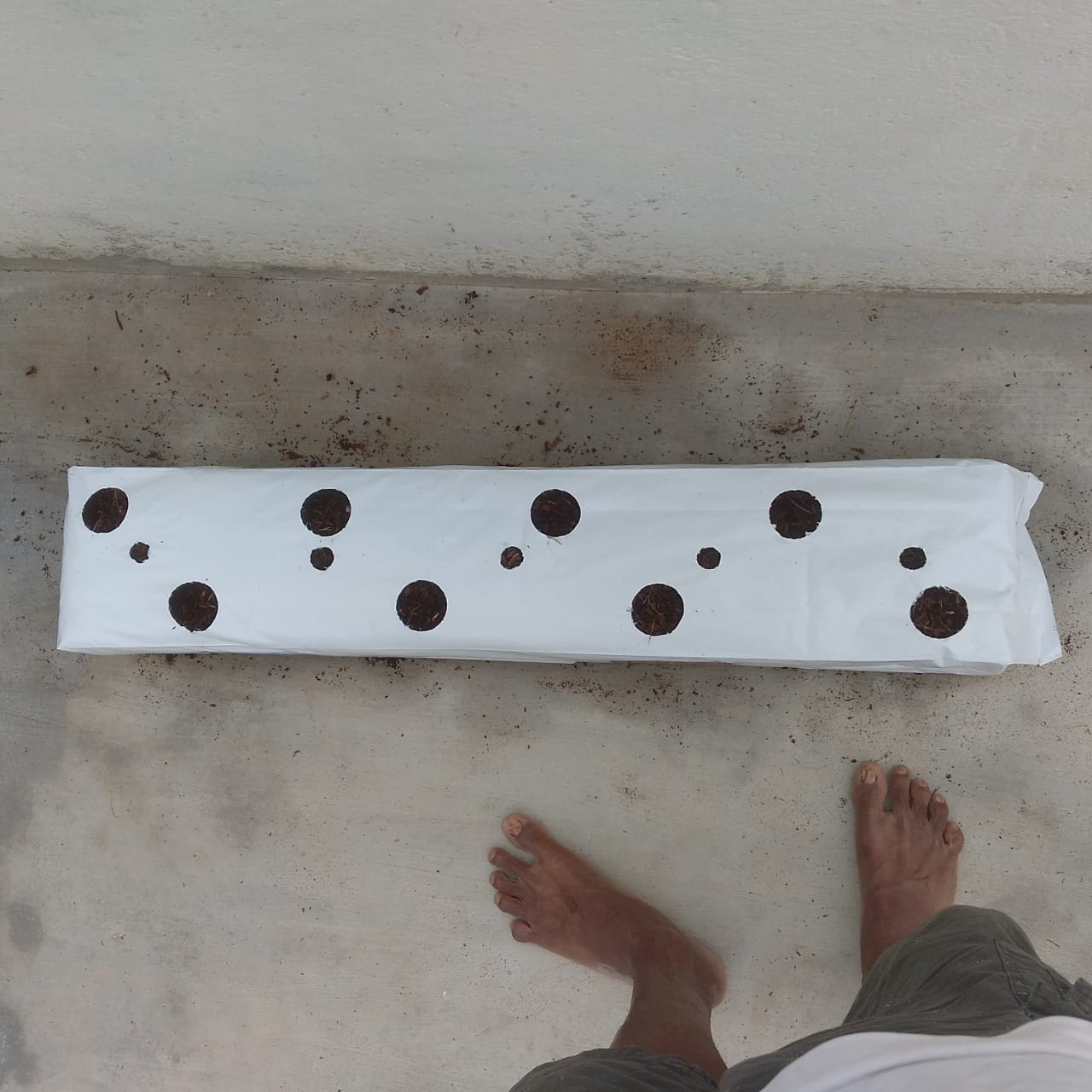 Coir Grow Bag – 100x20x15 cm – 3.3 Kg – 30L – Bulk, Unwashed 