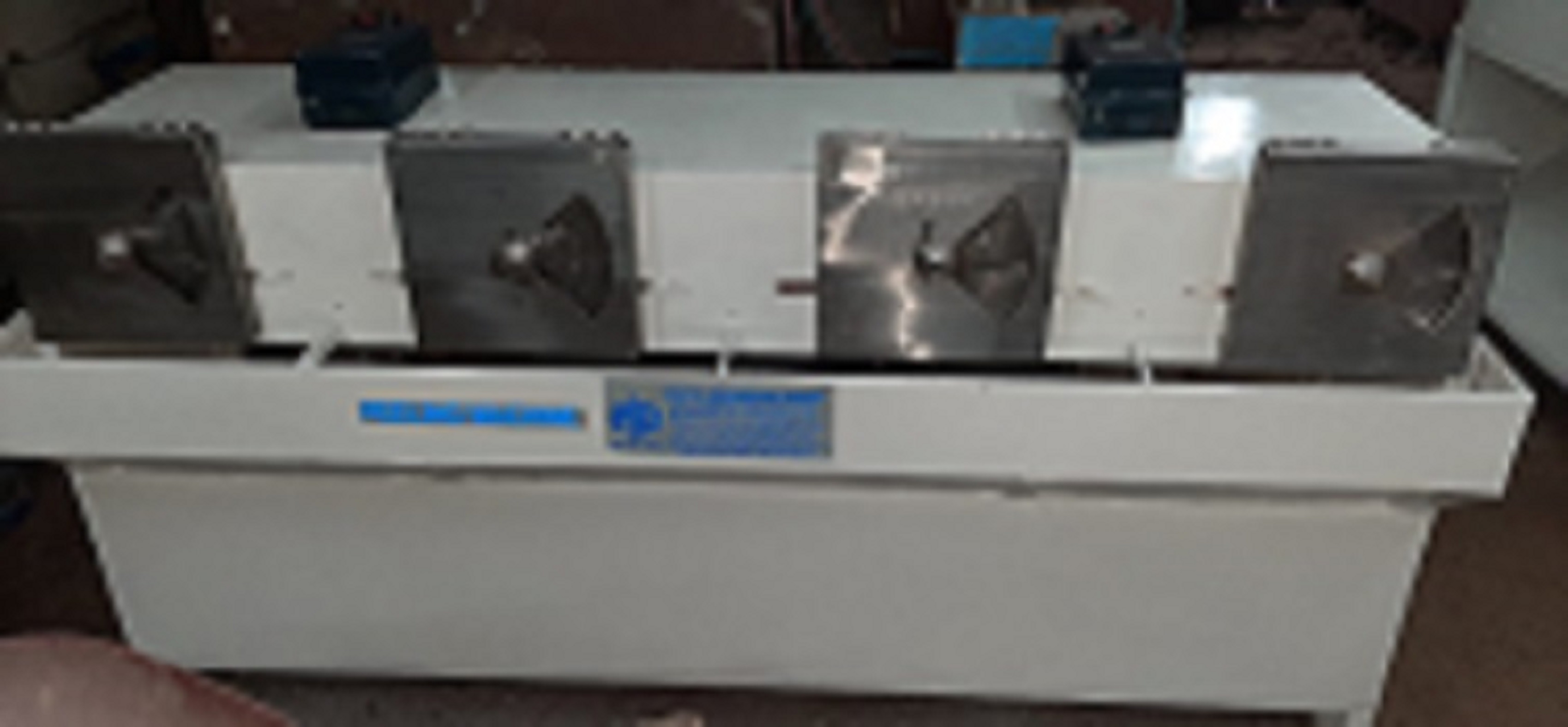 Four Station Coconut Testa Remover Machine