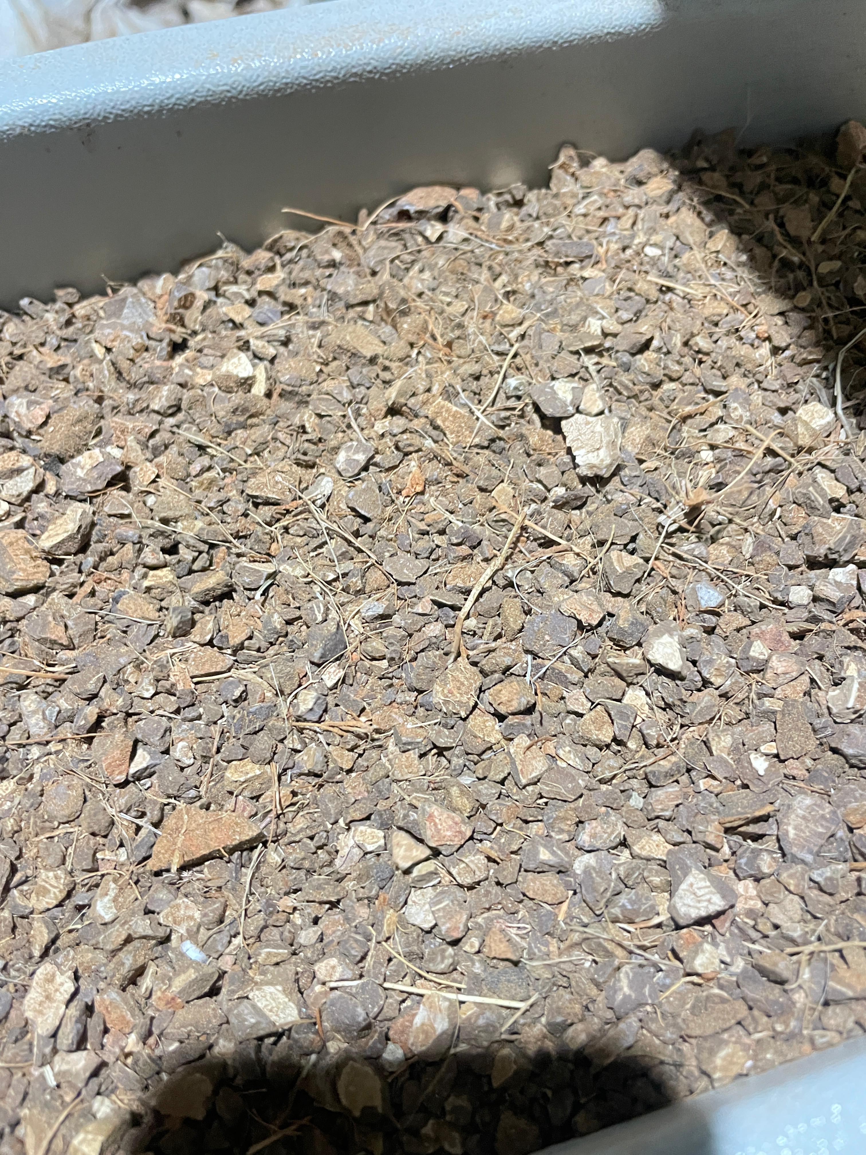 Coconut Shell Granules