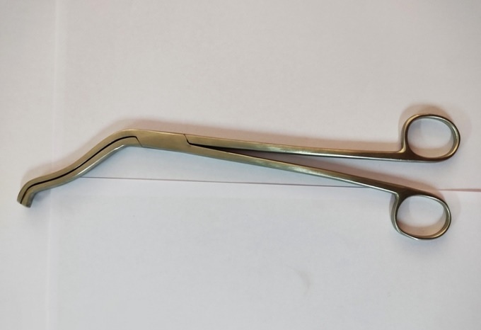 Cheatle Forcep Stainless Steel