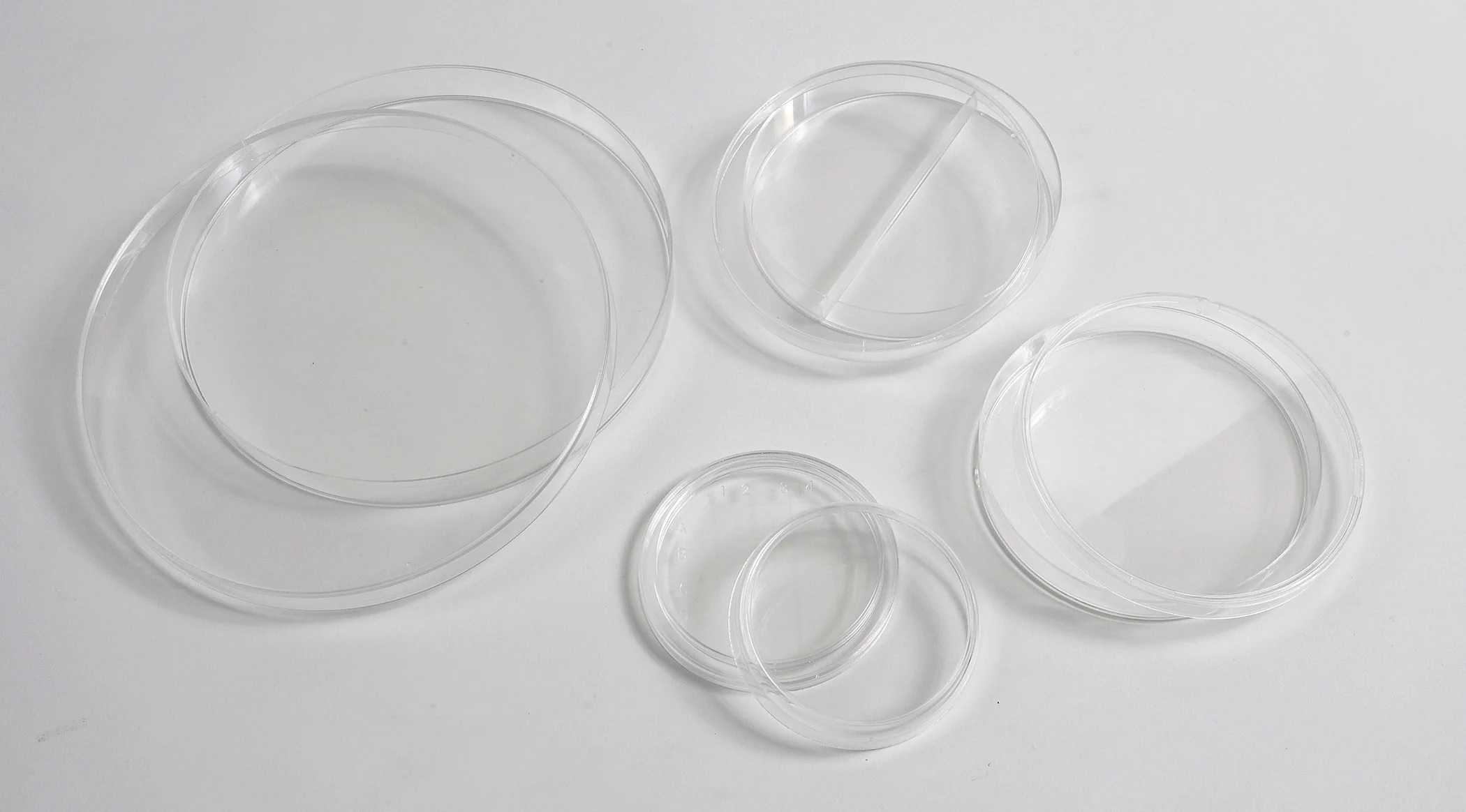 Petri Dish Borosilicate Glass